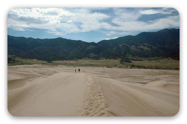 Dunes de sable