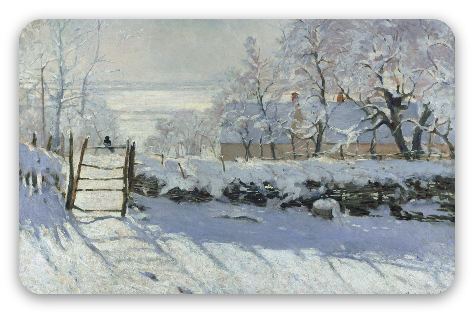 The Magpie