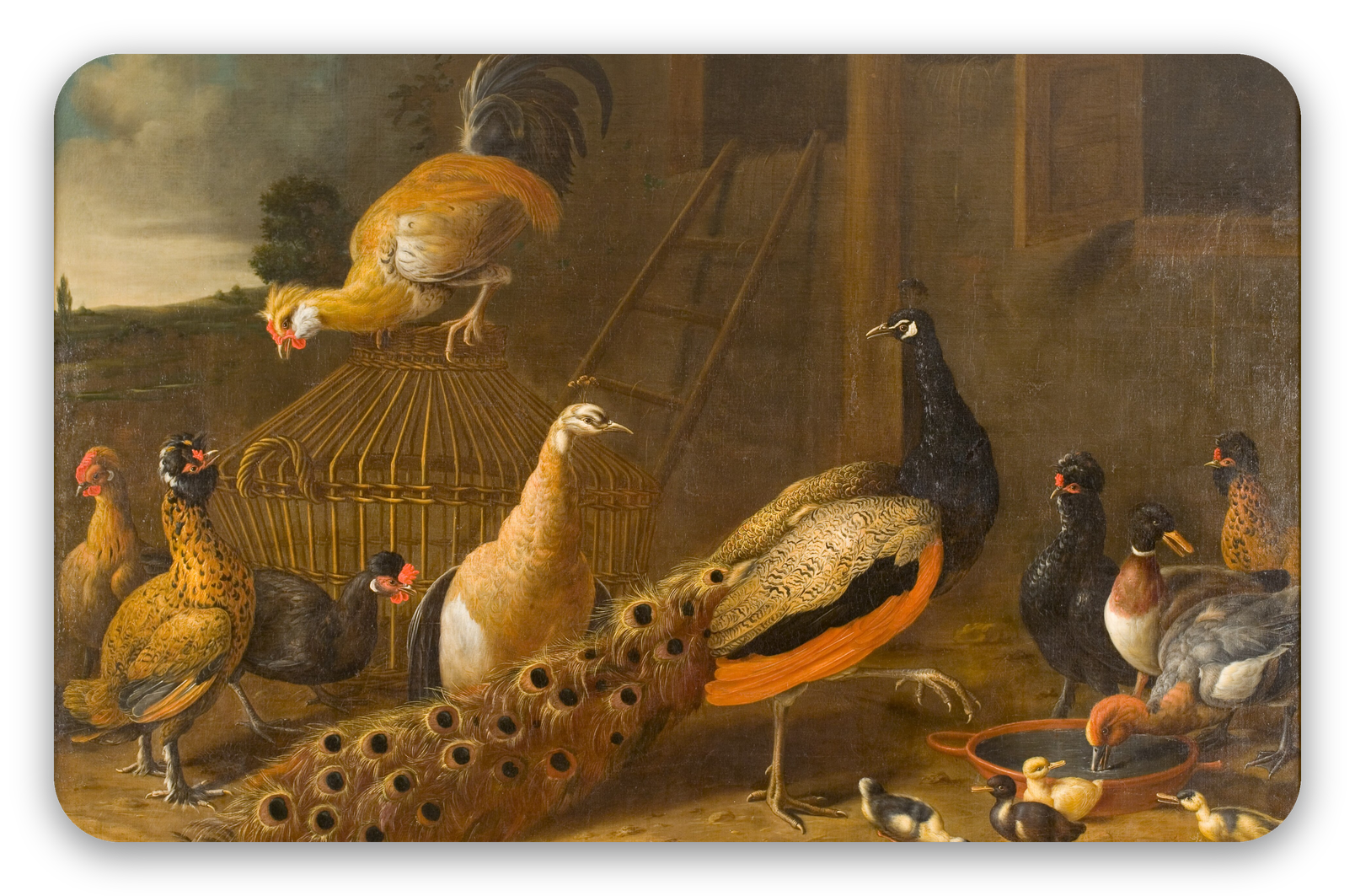 The Poultry Yard