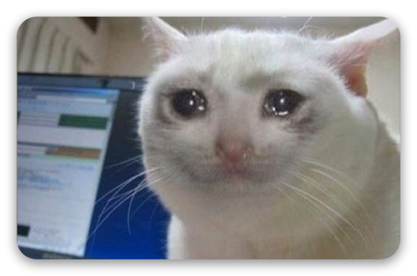 Chat qui pleure