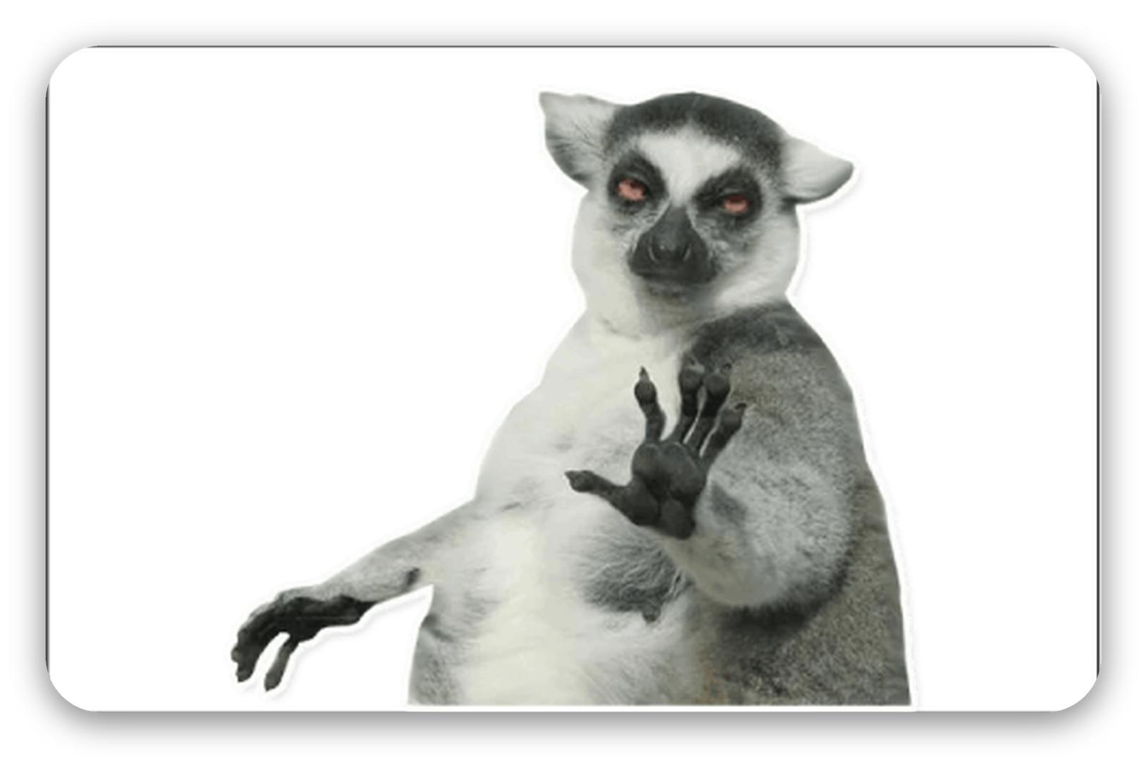 Lemur