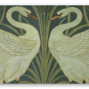 Cygnes