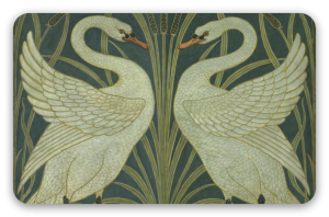 Cygnes