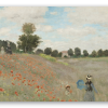 Les Coquelicots