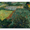 Champ de coquelicots (juin 1889)