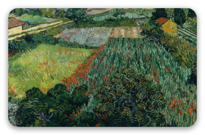 Champ de coquelicots (juin 1889)
