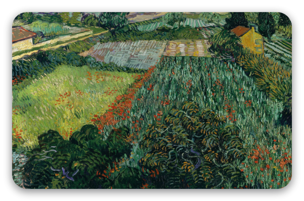 Champ de coquelicots (juin 1889)