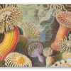 Anémones de mer (Haeckel)