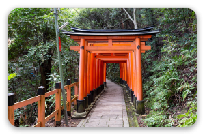 Les torii rouges de Kyoto