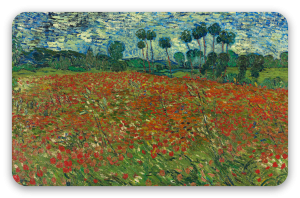 Champ de coquelicots