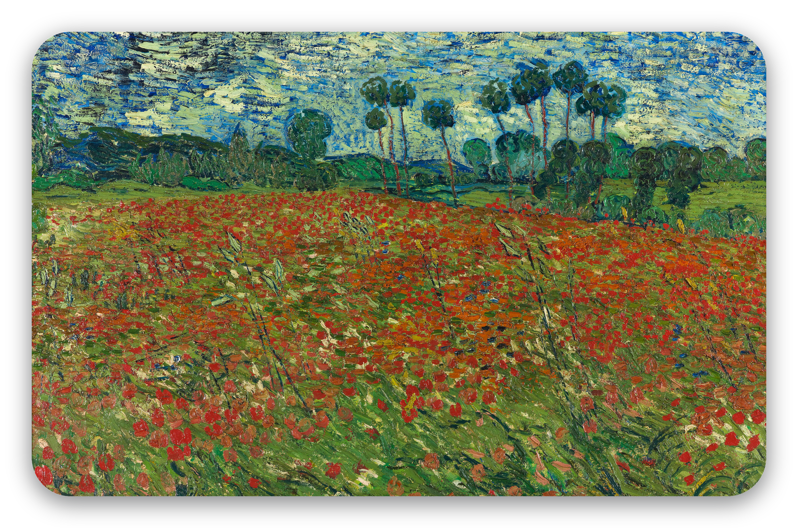 Champ de coquelicots