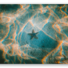 Étoile de mer